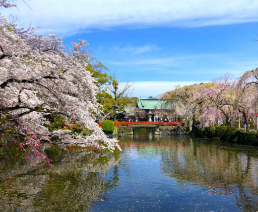 三島の魅力その2